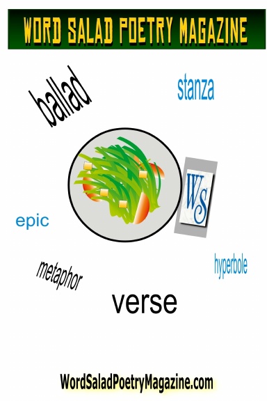 Word Salad Poetry Magazine, Volume XIV, No III.