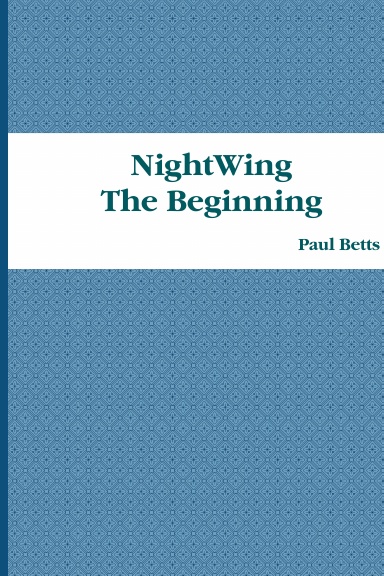 NightWing - The Beginning