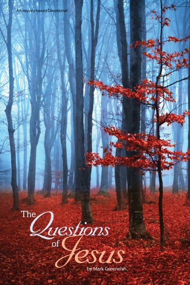 The Questions of Jesus