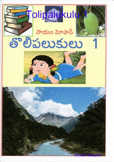 Tolipalukulu 1