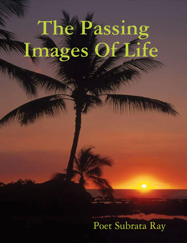 The Passing Images Of Life