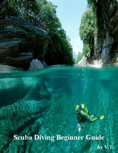 Scuba Diving Beginner Guide