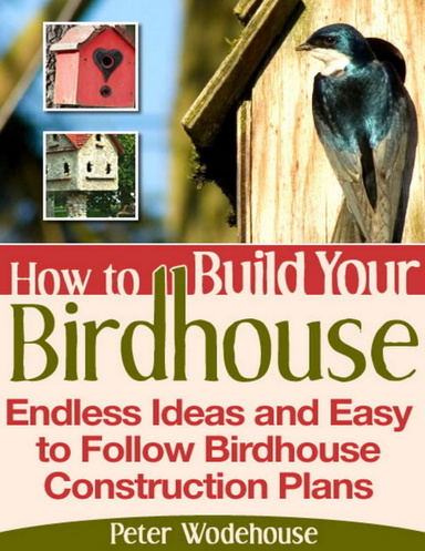 How to Build Your Birdhouse