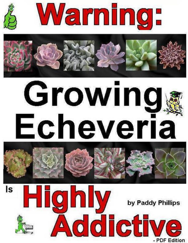 Warning: Growing Echeveria Is Highly Addictive - PDF Edition