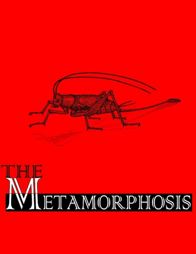 Metamorphosis