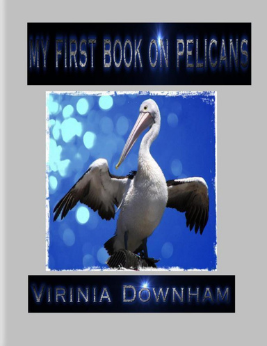 My First Book on Pelicans