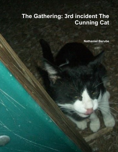 The Gathering: 3rd incident The Cunning Cat