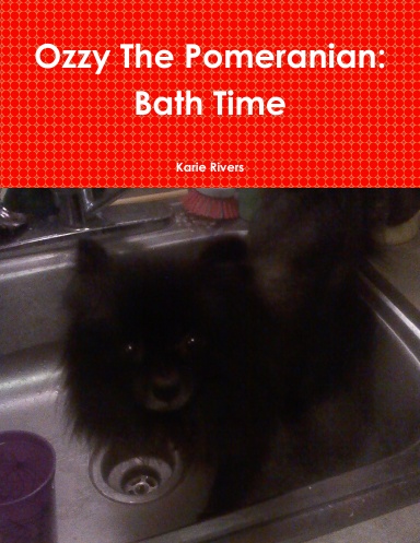 Ozzy The Pomeranian: Bath Time
