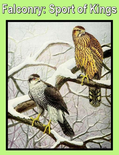 Falconry: Sport of Kings