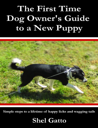 The First Time Dog Owner's Guide to a New Puppy