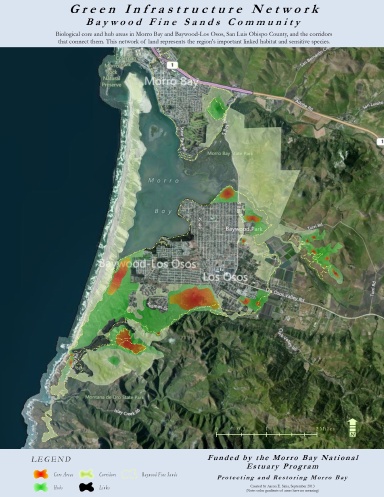 Green Infrastructure Network of the Baywood Fine Sands Community