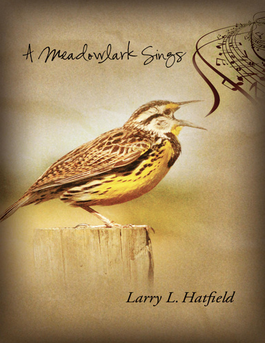 A Meadowlark Sings