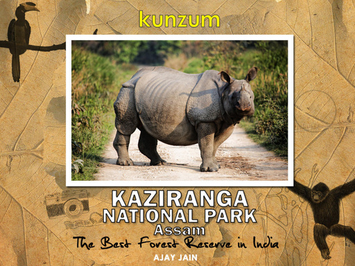 Kaziranga National Park - Assam, India