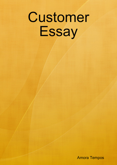 Customer Essay