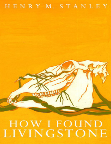 How I Found Livingstone