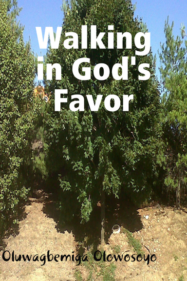 Walking in God's Favor