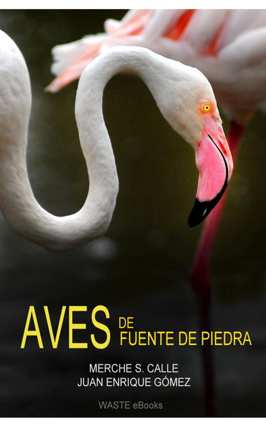 Aves de Fuente de Piedra