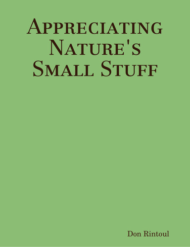 Appreciating Nature's Small Stuff