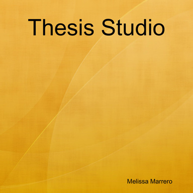 Thesis Studio