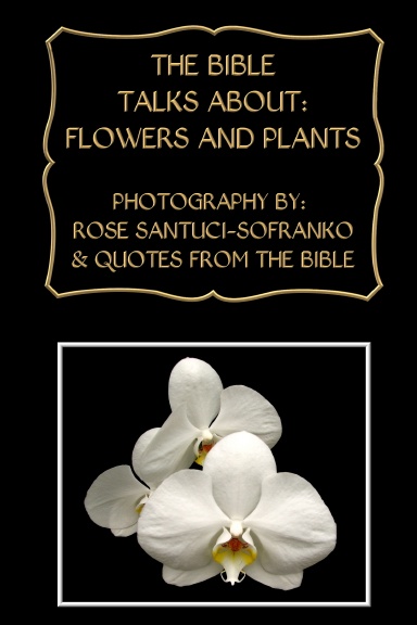 The Bible Talks About: Flowers and Plants