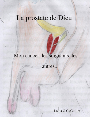 La prostate de Dieu - Mon cancer, les soignants, les autres...