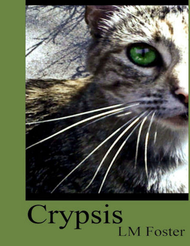 Crypsis