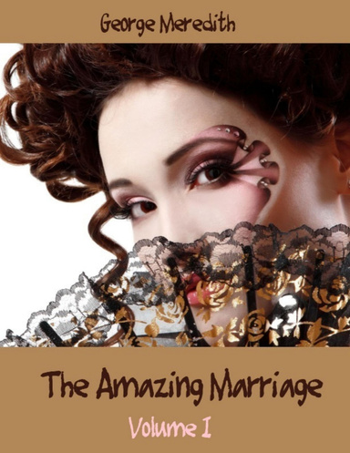 The Amazing Marriage : Volume I (Illustrated)