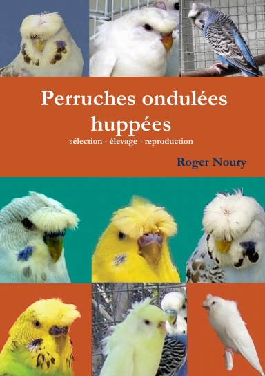 Perruches ondulées huppées  Sélection - élevage - reproduction