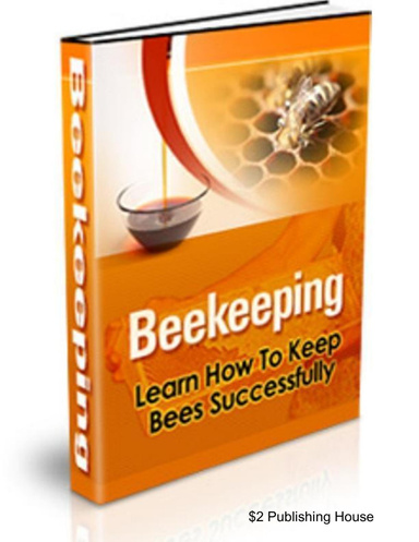 BeeKeeping:  Learn How To Keep Bees Successful