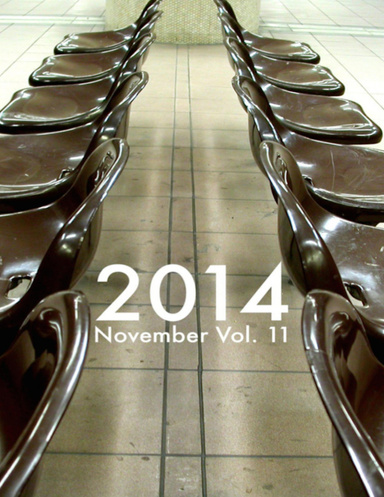 2014 November Vol. 11