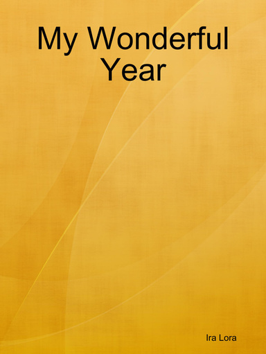 My Wonderful Year