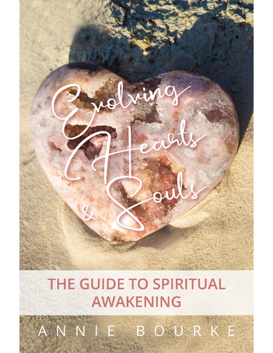 Evolving Hearts and Souls