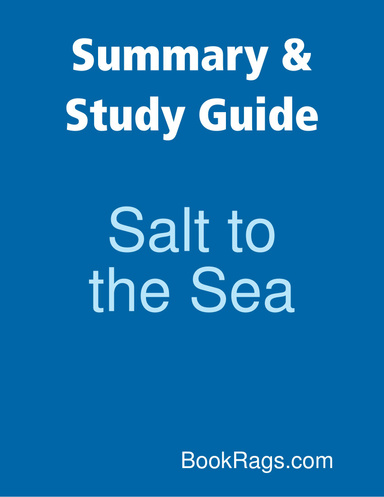 Summary & Study Guide: Salt to the Sea