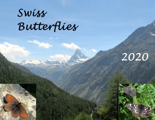 Swiss Butterflies and Scenes