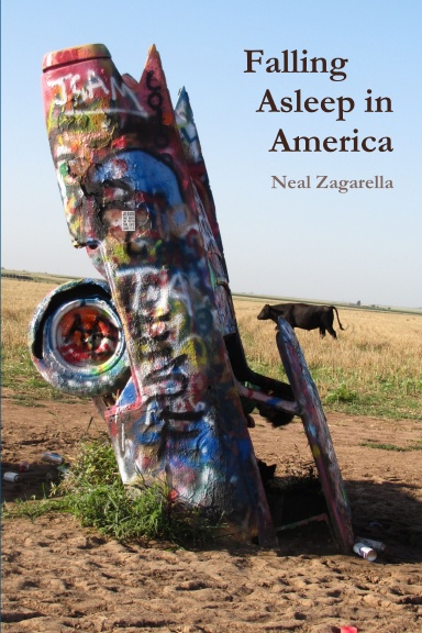 Falling Asleep in America
