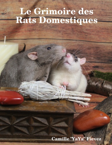Le Grimoire des Rats Domestiques
