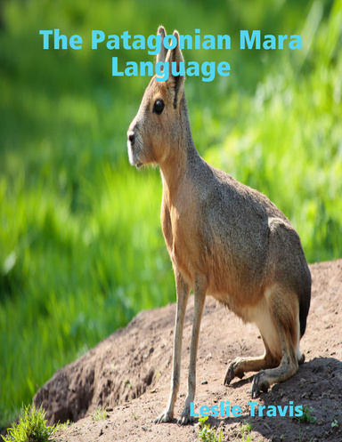 The Patagonian Mara Language
