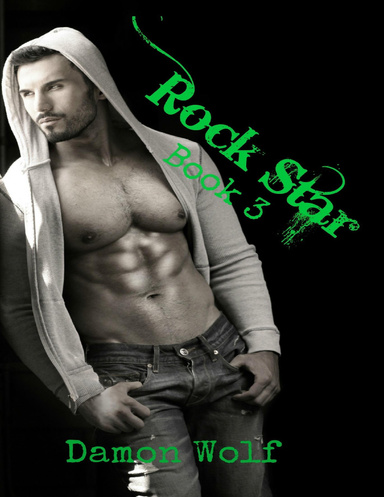 Rock Star: Book 3