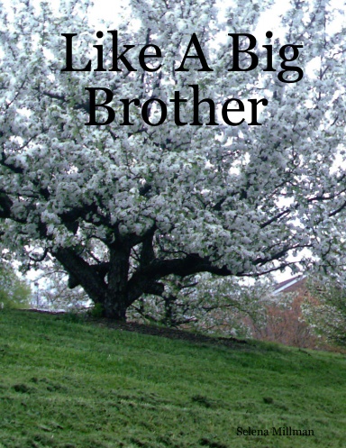 Like A Big Brother