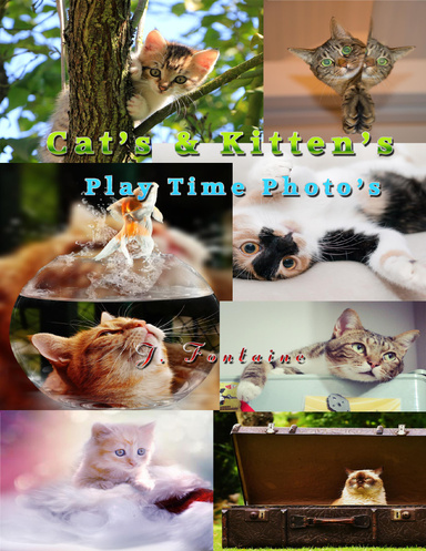 Cat's & Kitten's Play Time Photo's