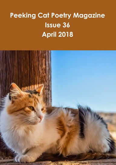Peeking Cat Poetry Magazine Issue 36 - April 2018