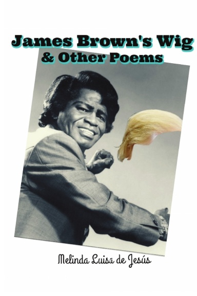 James Brown's Wig & Other Poems