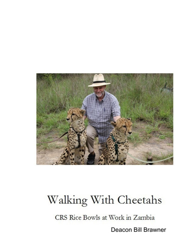 Walking With Cheetahs