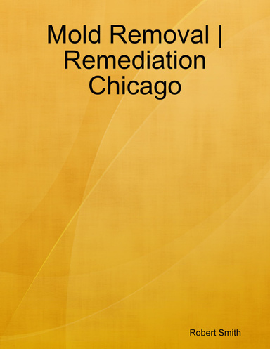 Mold Removal | Remediation Chicago
