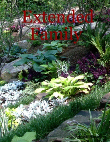 Extended Family