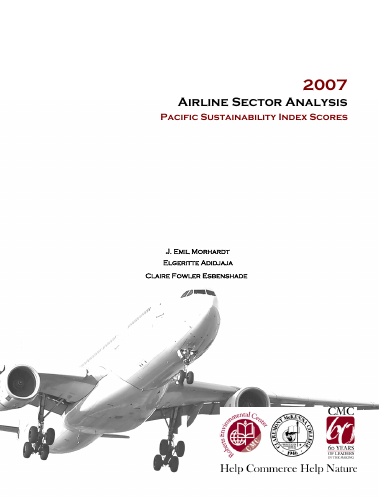 2007 Airline Sector Analysis (color)