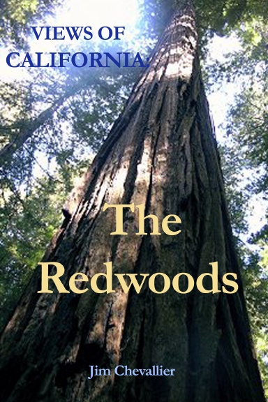Views of California: The Redwoods