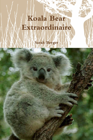Koala Bear Extraordinaire