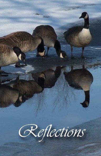 Reflections Journal