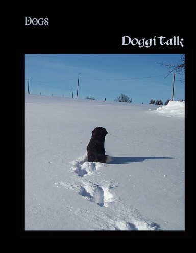 DoggyTalk